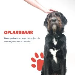 Anti Blafband - Blafband Voor Honden - Oplaadbaar - Anti Blaf Apparaat - Blafband - Diervriendelijk -Honden Huis Winkel 1200x1200 666