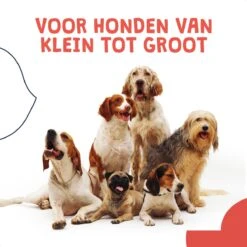 JC Pets Ultrasone Anti Blaf Apparaat Voor Kleine En Grote Honden - Oplaadbaar - Alternatief Anti Blafband Voor Honden - Diervriendelijk & Zonder Schok 16 JC Pets Ultrasone Anti Blaf Apparaat Voor Kleine En Grote Honden - Oplaadbaar - Alternatief Anti Blafband Voor Honden - Diervriendelijk & Zonder Schok -Honden Huis Winkel 1200x1200 699