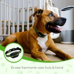 Petz - Anti Blafband - Anti Blafband Voor Kleine En Grote Honden - 5-55 KG - Vibratie En Audio - Diervriendelijk - GEEN Schokken - Opvoedingshalsband Zonder Schok En Diervriendelijk - Waterdicht - Oplaadbaar 11 Petz - Anti Blafband - Anti Blafband Voor Kleine En Grote Honden - 5-55 KG - Vibratie En Audio - Diervriendelijk - GEEN Schokken - Opvoedingshalsband Zonder Schok En Diervriendelijk - Waterdicht - Oplaadbaar -Honden Huis Winkel 1200x1200 707
