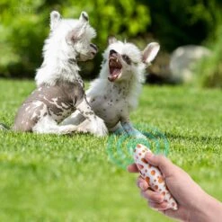 Merkloos LotaHome - Anti Blaf Apparaat - Hondentrainer Voor Binnen En Buiten - Bereik Tot 15 Meter - Diervriendelijk - Zonder Schok - Ultrasone - Voor Alle Honden - Inclusief Clicker 23 Merkloos LotaHome - Anti Blaf Apparaat - Hondentrainer Voor Binnen En Buiten - Bereik Tot 15 Meter - Diervriendelijk - Zonder Schok - Ultrasone - Voor Alle Honden - Inclusief Clicker -Honden Huis Winkel 1200x1200 716