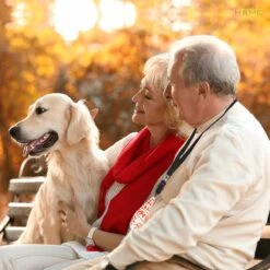 Merkloos LotaHome - Anti Blaf Apparaat - Hondentrainer Voor Binnen En Buiten - Bereik Tot 15 Meter - Diervriendelijk - Zonder Schok - Ultrasone - Voor Alle Honden - Inclusief Clicker 24 Merkloos LotaHome - Anti Blaf Apparaat - Hondentrainer Voor Binnen En Buiten - Bereik Tot 15 Meter - Diervriendelijk - Zonder Schok - Ultrasone - Voor Alle Honden - Inclusief Clicker -Honden Huis Winkel 1200x1200 717