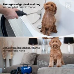Nuvoo Professionele Hondenföhn / Waterblazer / Hondenborstel Met 3 Opzetstukken - Verstelbare Vermogen Tot 2200W - Warme / Koude Stand - Blauw -Honden Huis Winkel 1200x1200 72