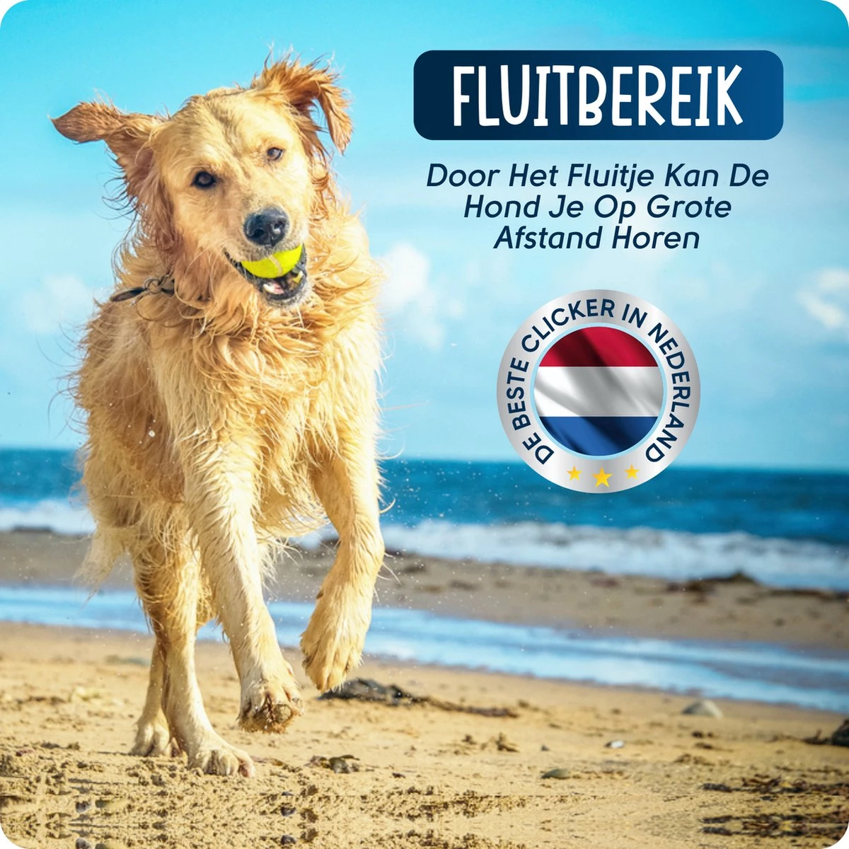 VEDIC® - Luxe Clicker Met Fluit - Clickertraining Voor Honden - Zwart - Bevestigingsring - Fluit - Hondentraining 5 VEDIC® - Luxe Clicker Met Fluit - Clickertraining Voor Honden - Zwart - Bevestigingsring - Fluit - Hondentraining - Afbeelding 5