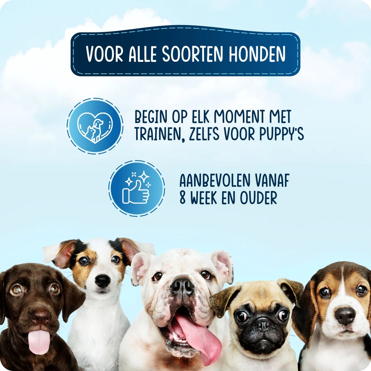 VEDIC® - Luxe Clicker Met Fluit - Clickertraining Voor Honden - Zwart - Bevestigingsring - Fluit - Hondentraining 7 VEDIC® - Luxe Clicker Met Fluit - Clickertraining Voor Honden - Zwart - Bevestigingsring - Fluit - Hondentraining - Afbeelding 7
