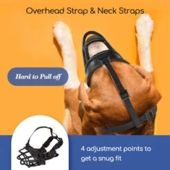 Nobleza Muilkorf Hond - Snuitomtrek 33 - Maat L - Zwart 10 Nobleza Muilkorf Hond - Snuitomtrek 33 - Maat L - Zwart -Honden Huis Winkel 1200x1200 755