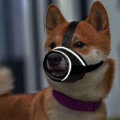 Merkloos Hoog Kwaliteit Muilkorf Met Bedrukt Patroon - Muilkorf Hond - Hondensnuit - Anti Blaf En Bijt - Voor Kleine En Grote Honden Maat M Zwart Reflecterend 9 Merkloos Hoog Kwaliteit Muilkorf Met Bedrukt Patroon - Muilkorf Hond - Hondensnuit - Anti Blaf En Bijt - Voor Kleine En Grote Honden Maat M Zwart Reflecterend -Honden Huis Winkel 1200x1200 759