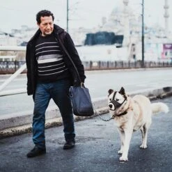 Merkloos Hoog Kwaliteit Muilkorf Met Bedrukt Patroon - Muilkorf Hond - Hondensnuit - Anti Blaf En Bijt - Voor Kleine En Grote Honden Maat M Zwart Reflecterend 12 Merkloos Hoog Kwaliteit Muilkorf Met Bedrukt Patroon - Muilkorf Hond - Hondensnuit - Anti Blaf En Bijt - Voor Kleine En Grote Honden Maat M Zwart Reflecterend -Honden Huis Winkel 1200x1200 760