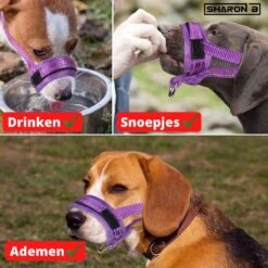 Sharon-B Muilkorf Turquoise Maat S - Fleece - Reflecterend - Kleine Hond -Honden Huis Winkel 1200x1200 764