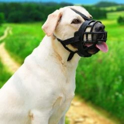 Sharon B Muilkorf Hond - Zwart - XXL - Voor Zeer Grote Honden - Snuitomtrek 38-43 Cm -Honden Huis Winkel 1200x1200 768