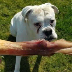 Topdiervoeding Runderkophuid Hondensnacks - Vers Gedroogd - 30cm - 1000 Gram -Honden Huis Winkel 1200x1200 782