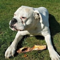 Topdiervoeding Runderkophuid Hondensnacks - Vers Gedroogd - 30cm - 1000 Gram -Honden Huis Winkel 1200x1200 783