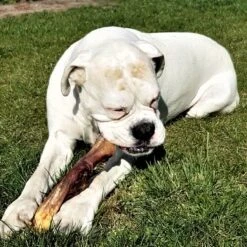 Topdiervoeding Runderkophuid Hondensnacks - Vers Gedroogd - 30cm - 1000 Gram -Honden Huis Winkel 1200x1200 784