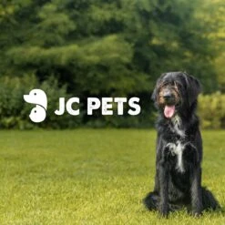 JC Pets Premium Pluizenborstel - Huisdierhaar Verwijderaar – Pluizenverwijderaar – Honden En Kattenhaar Verwijderaar - Ontpluizer - Pluizenroller -Honden Huis Winkel 1200x1200 79