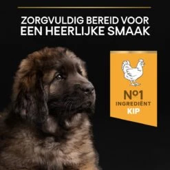 Pro Plan Healthy Start Puppy Large Robust - Honden Droogvoer - Kip - 12 Kg -Honden Huis Winkel 1200x1200 791