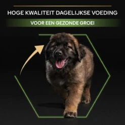 Pro Plan Healthy Start Puppy Large Robust - Honden Droogvoer - Kip - 12 Kg -Honden Huis Winkel 1200x1200 792
