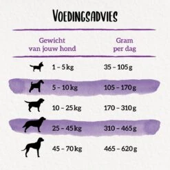Beneful Gelukkig Volwassen - Hondenvoer Senior 7+ Met Kip En Tuingroenten - 12kg 13 Beneful Gelukkig Volwassen - Hondenvoer Senior 7+ Met Kip En Tuingroenten - 12kg -Honden Huis Winkel 1200x1200 802