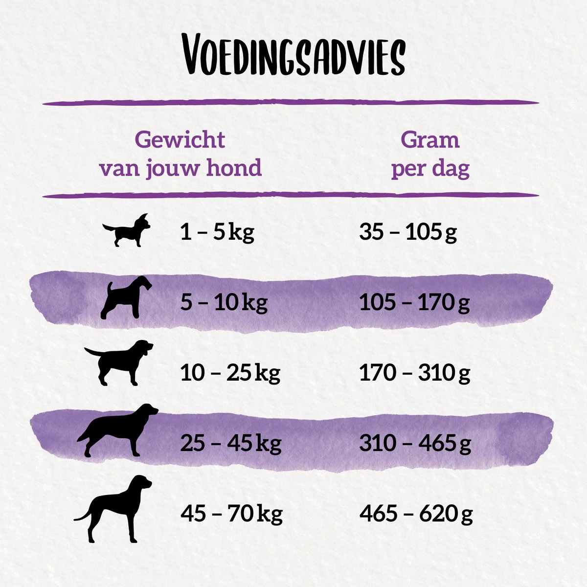 Beneful Gelukkig Volwassen - Hondenvoer Senior 7+ Met Kip En Tuingroenten - 12kg 7 Beneful Gelukkig Volwassen - Hondenvoer Senior 7+ Met Kip En Tuingroenten - 12kg - Afbeelding 7