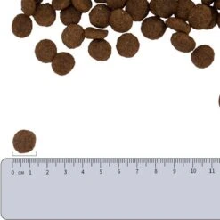 Vetality Hypoallergenic Hondenvoer - 10 Kg -Honden Huis Winkel 1200x1200 804