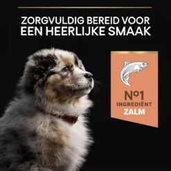 Pro Plan Medium Puppy Sensitive Skin - Honden Droogvoer - Zalm - 12 Kg -Honden Huis Winkel 1200x1200 806