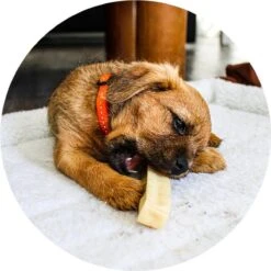 RENSKE | Renske Chhurpi Kauwkluif -Honden Huis Winkel 1200x1200 814