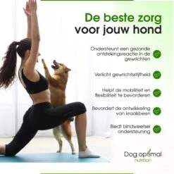 Dog Optimal Gewricht Supplement 90 Stuks - Mobility - Glucosamine Hond - Artrose - Heupdysplasie - Gewrichten - Hondensnacks - Hondenkoekjes - Hondensupplementen - Honden - Puppy - Hondenvoeding - Mankheid - HD - ED -Honden Huis Winkel 1200x1200 816