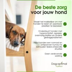 RUST EN KALMEREN CALMING Support 120 Stuks - Kalmeren - AntistressmiddelHond - Hond - Hondenkoekjes - Hondensupplementen - Honden - Puppy - Hondenvoeding -Honden Huis Winkel 1200x1200 825