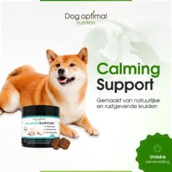 RUST EN KALMEREN CALMING Support 120 Stuks - Kalmeren - AntistressmiddelHond - Hond - Hondenkoekjes - Hondensupplementen - Honden - Puppy - Hondenvoeding -Honden Huis Winkel 1200x1200 827