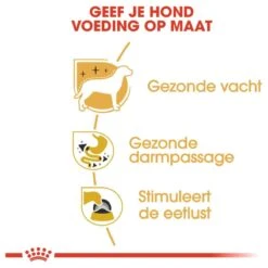 Royal Canin Chihuahua Pouch (12X85 GR) 12 Royal Canin Chihuahua Pouch (12X85 GR) -Honden Huis Winkel 1200x1200 840