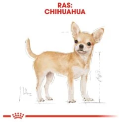 Royal Canin Chihuahua Pouch (12X85 GR) 13 Royal Canin Chihuahua Pouch (12X85 GR) -Honden Huis Winkel 1200x1200 841