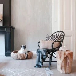 District 70 COCOON - Luxe Hondenmand Van Duurzaam Hoogwaardig Riet Met Zacht Kussen - Maten S/M/L - Large -Honden Huis Winkel 1200x1200 848