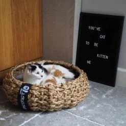 District 70 COCOON - Luxe Hondenmand Van Duurzaam Hoogwaardig Riet Met Zacht Kussen - Maten S/M/L - Large -Honden Huis Winkel 1200x1200 852