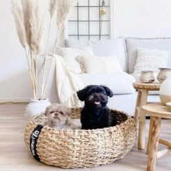 District 70 COCOON - Luxe Hondenmand Van Duurzaam Hoogwaardig Riet Met Zacht Kussen - Maten S/M/L - Large -Honden Huis Winkel 1200x1200 855