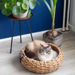 District 70 COCOON - Luxe Hondenmand Van Duurzaam Hoogwaardig Riet Met Zacht Kussen - Maten S/M/L - Large -Honden Huis Winkel 1200x1200 859