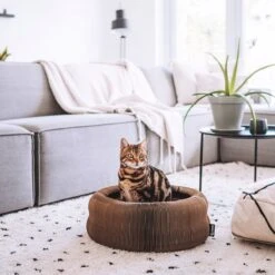 District 70 MAZE 3-in-1 Opvouwbare Kartonnen Kattenmand - Inclusief Catnip Balletje - Voor Slapen, Spelen En Krabben! -Honden Huis Winkel 1200x1200 863