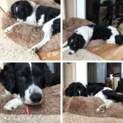 Snoozle Donut Hondenmand - Zacht En Luxe Hondenkussen - Wasbaar - Fluffy - Hondenmanden - 70cm - Creme Bruin -Honden Huis Winkel 1200x1200 909