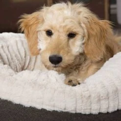 Scruffs Ellen Donut - Warme Hondenmand Van Imitatiebont - Kleur Grijs, Roze Of Bruin - Maat M Of L - Kleur: Grijs, Maat: Medium -Honden Huis Winkel 1200x1200 919