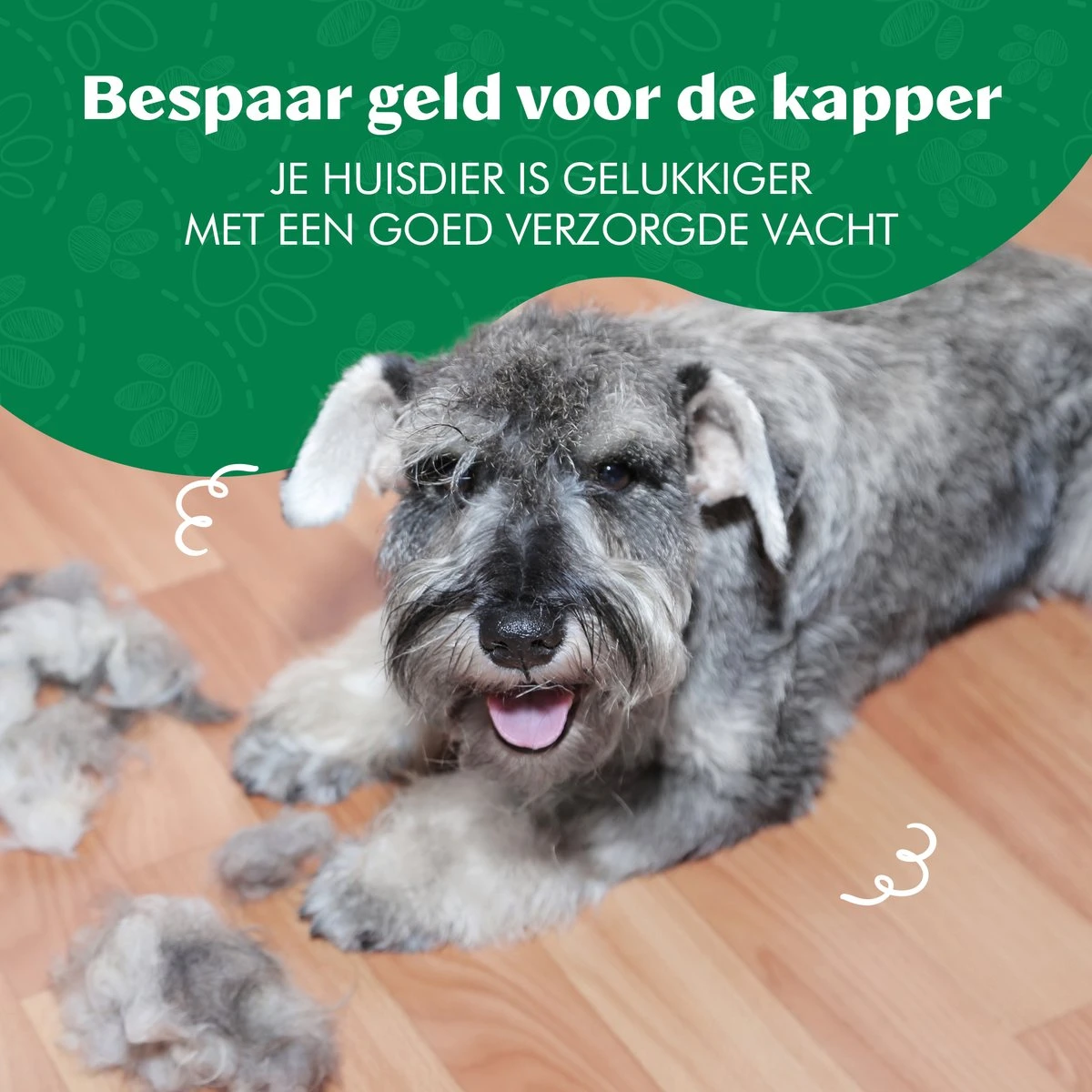 Mister Mill Professionele Set Slicker Honden Kattenborstel Plus Nagelknipper Plus Ondervacht Kam 13 Mister Mill Professionele Set Slicker Honden Kattenborstel Plus Nagelknipper Plus Ondervacht Kam - Afbeelding 13