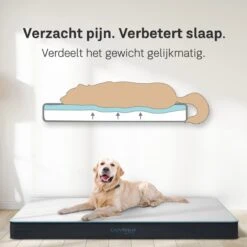 CozySense® - Orthopedisch Hondenkussen - Hondenkussen 100 X 70 Cm - Geschikt Als Benchkussen & Hondenbed - Hondenkussen Bank - Traagschuim - Waterdicht - Wasbare Hoes - Maat XL -Honden Huis Winkel 1200x1200 950