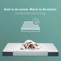 CozySense® - Orthopedisch Hondenkussen - Hondenkussen 100 X 70 Cm - Geschikt Als Benchkussen & Hondenbed - Hondenkussen Bank - Traagschuim - Waterdicht - Wasbare Hoes - Maat XL -Honden Huis Winkel 1200x1200 951