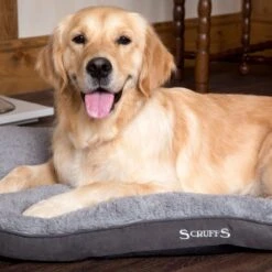Scruffs Cosy - Comfortabel Hondenkussen In Grijs, Beige Of Karamel - Met Imitatie Suède Buitenvoering En Superzachte Binnenvoering - 100 X 70 Cm - Grijs -Honden Huis Winkel 1200x1200 962