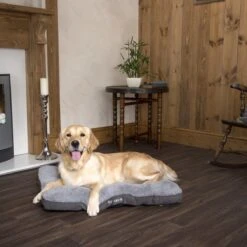 Scruffs Cosy - Comfortabel Hondenkussen In Grijs, Beige Of Karamel - Met Imitatie Suède Buitenvoering En Superzachte Binnenvoering - 100 X 70 Cm - Grijs -Honden Huis Winkel 1200x1200 964