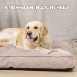 Snoozle Orthopedische Hondenmand - Zacht En Luxe Hondenkussen - Hondenbed - Wasbaar - Hondenmanden - 80 X 55 Cm - Desert Pink -Honden Huis Winkel 1200x1200 967