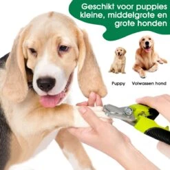 Mister Mill Professionele Set Slicker Honden Kattenborstel Plus Nagelknipper Plus Ondervacht Kam 36 Mister Mill Professionele Set Slicker Honden Kattenborstel Plus Nagelknipper Plus Ondervacht Kam -Honden Huis Winkel 1200x1200 97