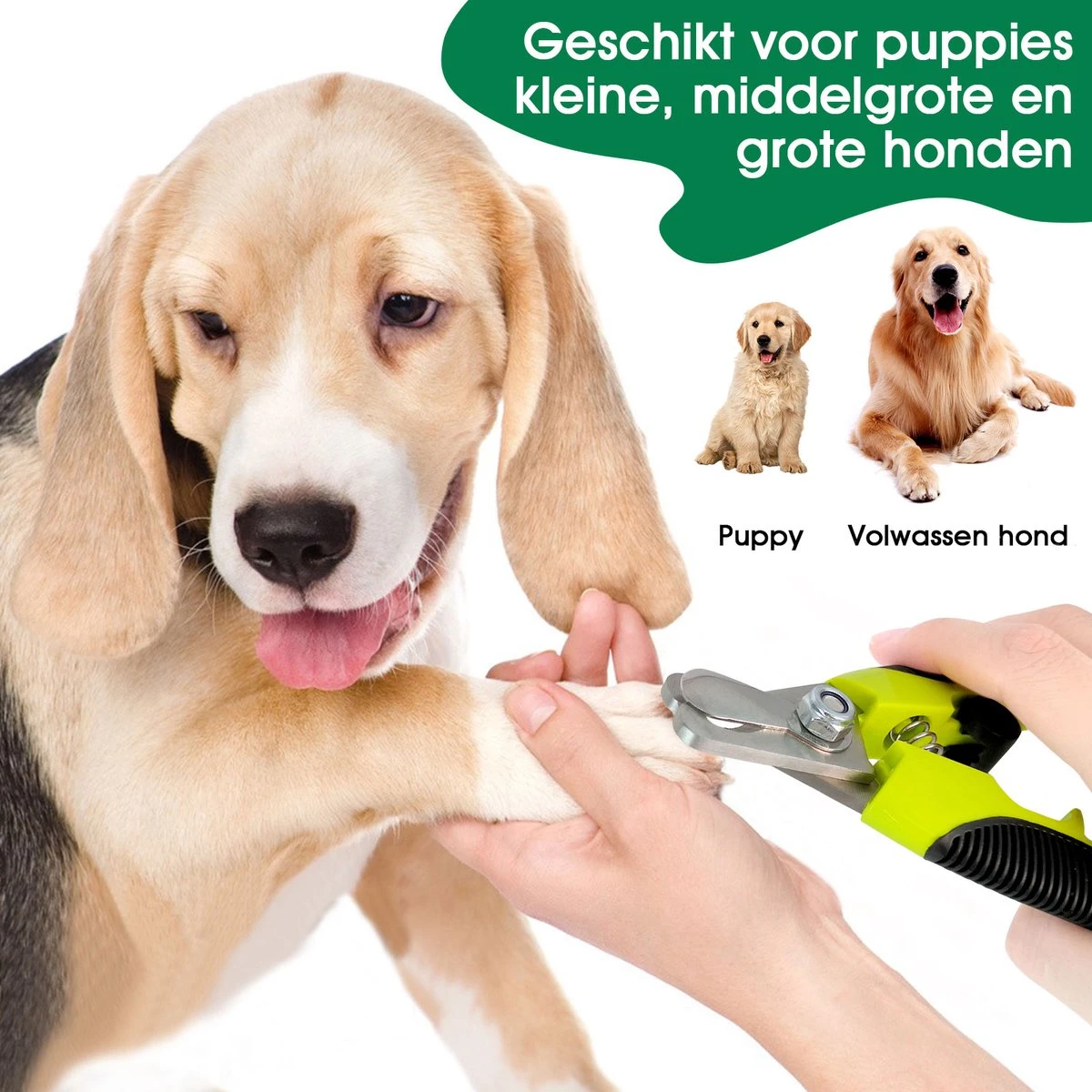 Mister Mill Professionele Set Slicker Honden Kattenborstel Plus Nagelknipper Plus Ondervacht Kam 18 Mister Mill Professionele Set Slicker Honden Kattenborstel Plus Nagelknipper Plus Ondervacht Kam - Afbeelding 18
