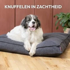 Snoozle Orthopedische Hondenmand - Zacht En Luxe Hondenkussen - Hondenbed - Wasbaar - Hondenmanden - 100 X 70 Cm - Groen -Honden Huis Winkel 1200x1200 974