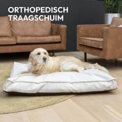 Snoozle Orthopedische Hondenmand - Zacht En Luxe Hondenkussen - Hondenbed - Wasbaar - Hondenmanden - 120 X 90 Cm - Groen -Honden Huis Winkel 1200x1200 986