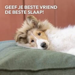 Snoozle Orthopedische Hondenmand - Zacht En Luxe Hondenkussen - Hondenbed - Wasbaar - Hondenmanden - 120 X 90 Cm - Groen -Honden Huis Winkel 1200x1200 987