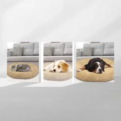 Peaceful Pooch S - Pluizig Hondenbed - 58cm Diameter - Opvouwbaar - In Verschillende Maten. Kattenbed - Wasbaar - Uitneembare Vulling - Ontspant Gewrichten En Spieren - Anti-slip Noppenbodem -Honden Huis Winkel 1200x1200 992