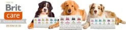 Brit Care Grain Free Adult Salmon & Potato 12 Kg - Hond 7 Brit Care Grain Free Adult Salmon & Potato 12 Kg - Hond -Honden Huis Winkel 1200x290