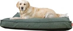 Snoozle Orthopedische Hondenmand - Zacht En Luxe Hondenkussen - Hondenbed - Wasbaar - Hondenmanden - 100 X 70 Cm - Groen -Honden Huis Winkel 1200x511